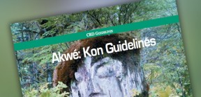 Akwé: Kon Guidelines