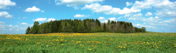 Torma heilige bos is gelegen op landbouwgrond en vangt de aandacht van de lokale bevolking, alsook van die passeren langs de Rakvere-Tartu snelweg. Heilige plaatsen gelegen in het culturele landschap behoud van de biodiversiteit, mentale continuïteit en maken leefomgeving meer waard. Lääne-Viru County, Rakvere Borough, Torma Village. (Foto: Ahto Kaasik)