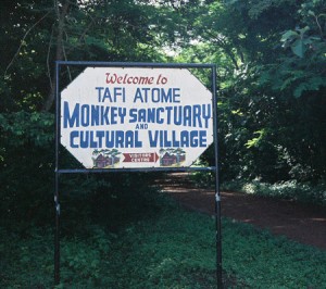 The village of Tafi Atome is located within the Hohoe District of the Volta Region of Ghana. Residents and is surrounded by a sacred grove of approximately 28 તેમણે ધરાવે છે. 