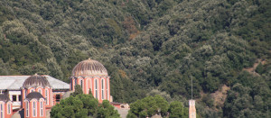 This monastery is set against a backdrop of a hill including Holm and Hungarian Oak forests. Those forests are not only ecologically important, but also foresee in much needed building materials and economic income for the monastic communities on Mt. Athos
