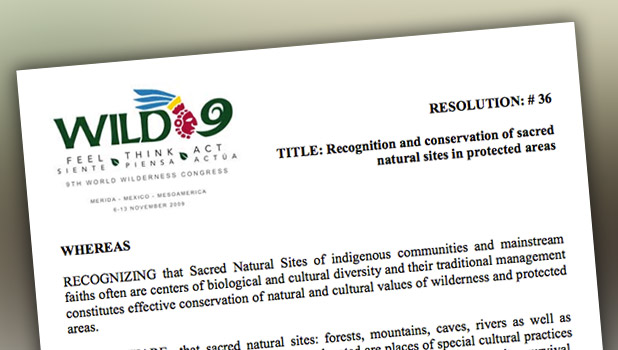 Wild9 anteriorment en aquesta resolució va ser adoptada en els llocs naturals sagrats en àrees protegides en 2009 (veure la biblioteca). Aquest any es van proposar dues resolucions addicionals per SALVATGE 10.