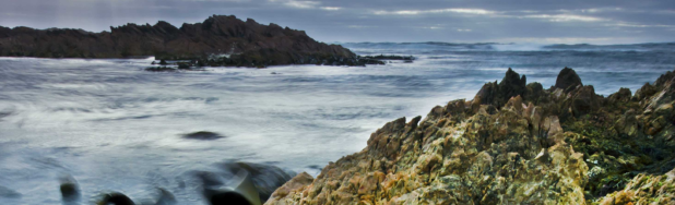 takayna land, lutuwitra (Tasmanien) Australien. Kilde: Jennifer Adams